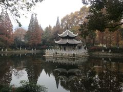 -习家池
