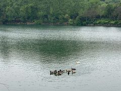 -杭州半山国家森林公园