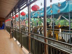 -崖口红树林海鲜餐厅