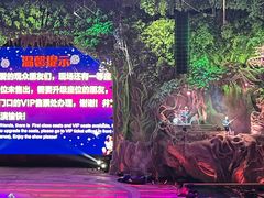 -广州长隆国际大马戏