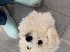 -贝利宠物医院·骨科·眼科·肿瘤转诊中心(南坪诊疗中心)