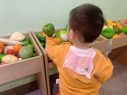 -泡泡米POPOME益智乐园(洪殿花园旗舰店)