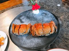 红酒醉熟蟹-马头巷·食景园(苏州总店)