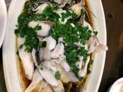 姜葱油淋鲈鱼-沙田鸽王(解放路店)