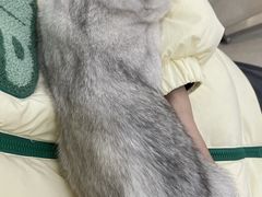 -共舞时光猫咖·狗咖(新街口店)