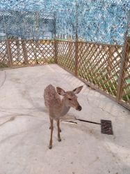 -萌宠亲子动物乐园(槐房万达店)