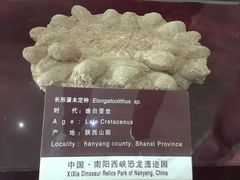 -中国西峡恐龙遗迹园