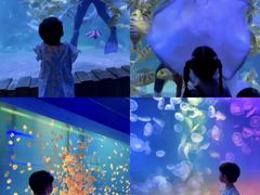 -左海海底世界