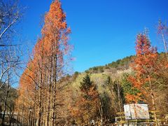 -白水寺森林公园