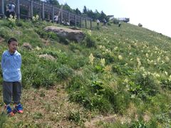 -白草畔自然风景区