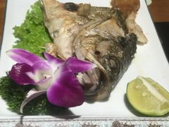 -明治屋(二十三年洪化桥店)