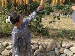 -林坑古村落