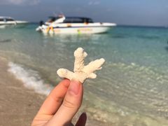 -普吉镇