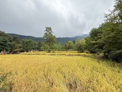 -塔川景区