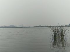 -太平河公园