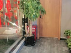 -鸽子窝(宋庄店)