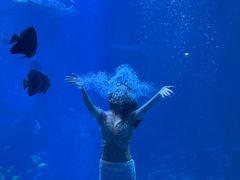 -太平洋海底世界