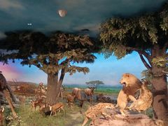 -国家自然博物馆