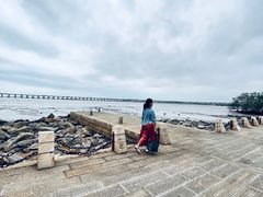 -宝安西湾红树林湿地公园