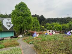 -铁山坪森林公园