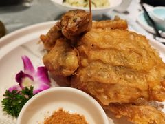 -唐猫庭院·千年陕菜(大唐不夜城店)