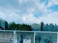 -海岛日记(养马岛店)