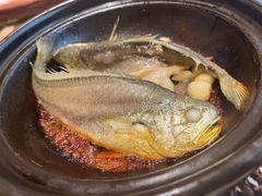 金榜黄花鱼-恭喜上堓砂锅焗·海鲜大排档(闵行龙湖店)