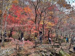 -本溪老边沟风景区