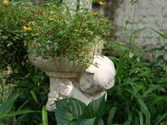 -Jo's Garden