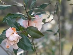 -宝界山林公园