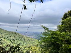 -梧桐山风景名胜区