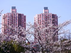 -永乐路-路侧停车场
