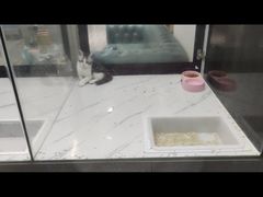 -小树照相馆·证件照(打浦桥店)