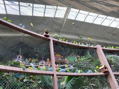 -南宫五洲植物乐园