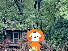 -上海虹桥迎宾馆
