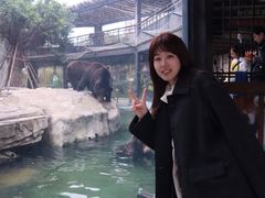 -灵玲国际马戏城