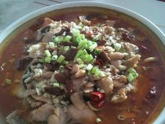 -煲来饱去冷水鱼