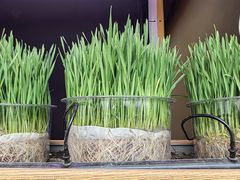 -中国天府农业博览园