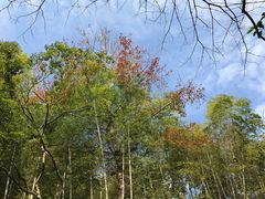 景点-桂山风景旅游区