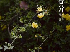 -杭州黄龙洞