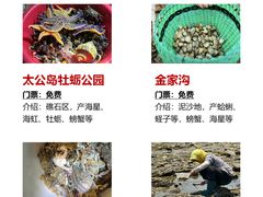 -巧克力渔家.小船海鲜胶东菜(万平口店)