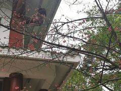 -金鸡山公园