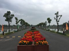 -明珠湖天鹅苑·农家菜馆