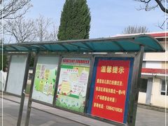 -张店儿童公园