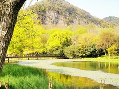-八卦田遗址公园