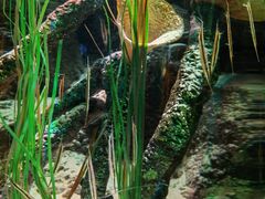 -沈阳海洋探索中心