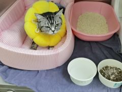 -美联众合24小时·皮肤科·外科·全科诊疗中心(华苑分院)