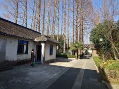 -枫泾古镇-人民公社旧址