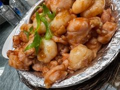 -丁老爷子苏香圆