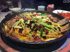 老板恋上鱼-老板恋上鱼(恒隆广场店)